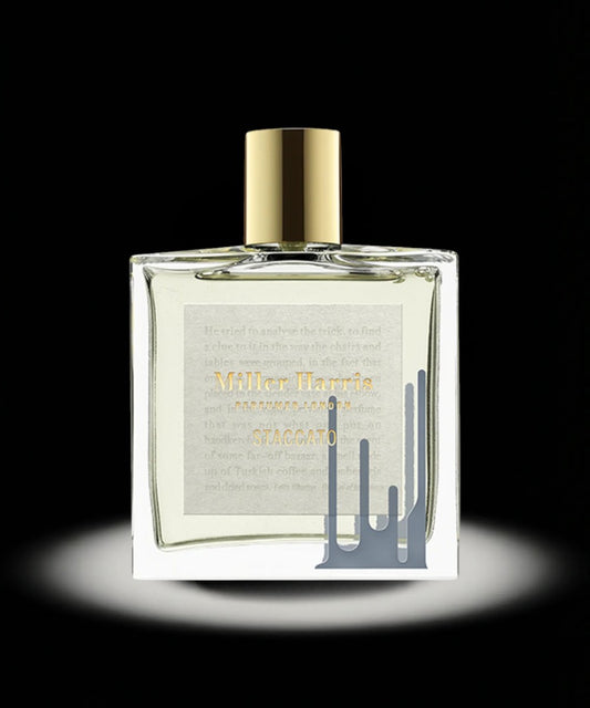 Staccato Eau De Parfum 100ml