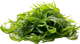 Alghe