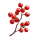 Bacche Rosse