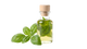 Basilico EO