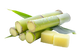 Canna da zucchero