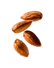 Cardamomo Indiano 