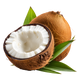 Cocco