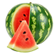 Cocomero