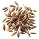 Cumino