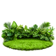 Erba Verde