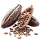 Fava di Cacao