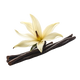 Vaniglia Nera