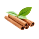 Foglia di Cannela