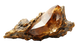Legno Ambrato