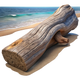 Legno Marino