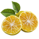 Mandarino Giallo