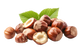 Nocciola