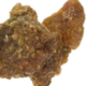 Opoponax