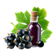 Ribes Nero