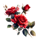 Rosa Selvatica