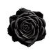 Rosa Oscura