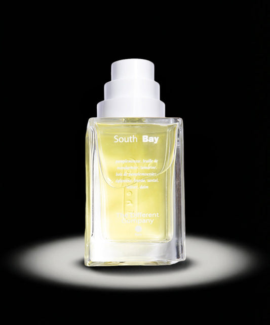 SOUTH BAY 100 ML EAU DE TOILETTE