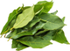 Tabacco
