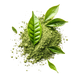 Tè Matcha