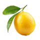 Yuzu