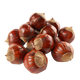 Castagna 